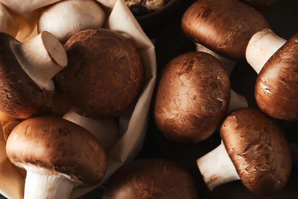 Champignons