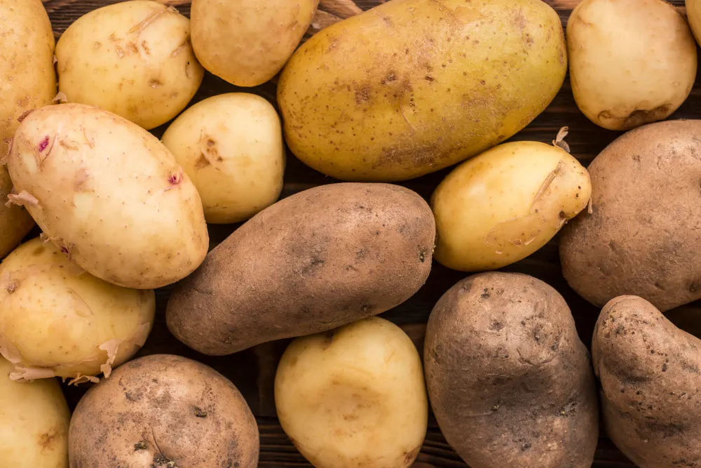 Pomme de terre